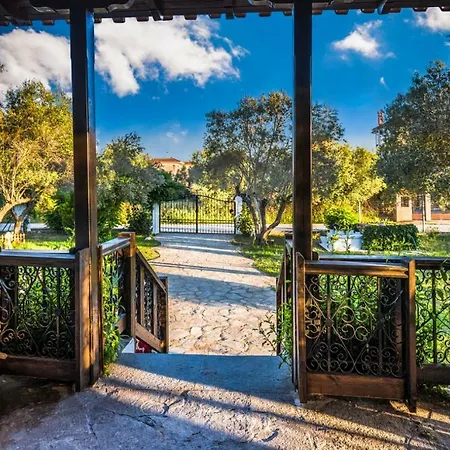 Case de vacanță Joy