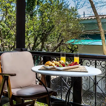 Joy Holiday home Ormos Panagias