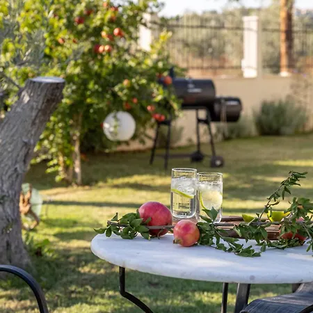 Joy * Ormos Panagias